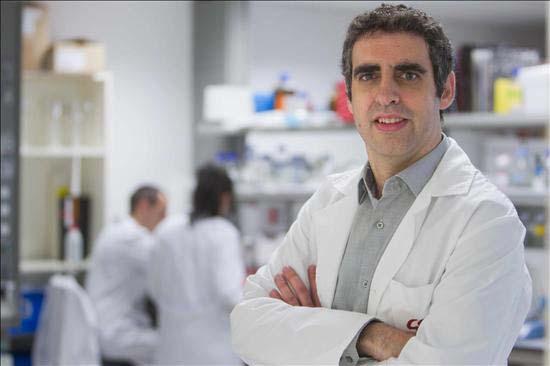 Manel Esteller, IDIBELL