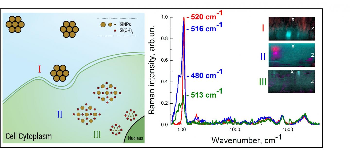 Silicon Nanoparticles
