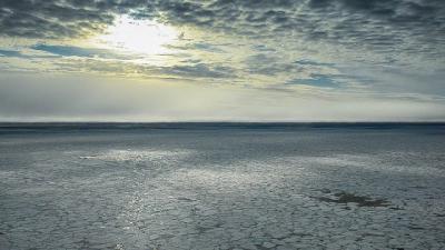 Arctic Sea Ice