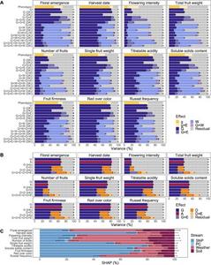 Relative contribution of different model components estimated for eleven traits.