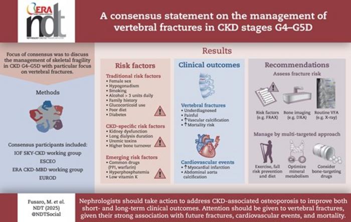 A consensus statement on the management of vertebral fractures in CKD stages G4–G5D