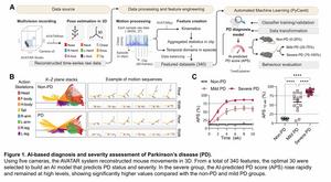 A Breakthrough in Parkinson's Research: Precision Diagnosis and Treatment with AI and Optogenetics​