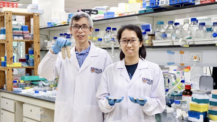 NUS breakthrough for aquaculture: Oral vaccine protects fish from fatal nervous necrosis virus 1