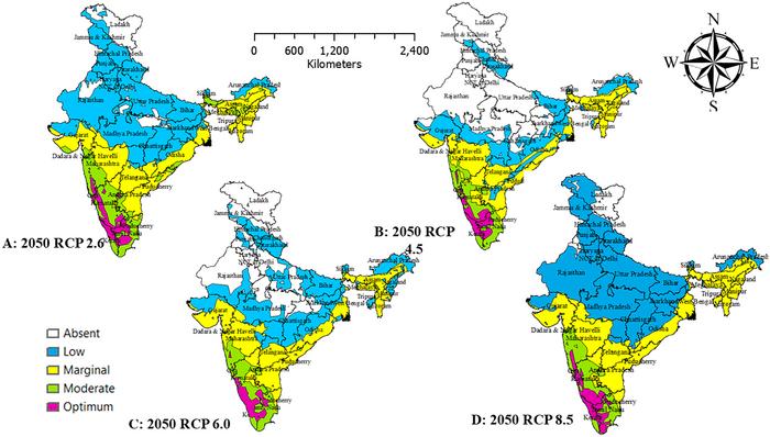 Climate-driven shifts in avocado suitability zones in India: Insights from ensemble modelling and niche hypervolume