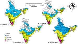 Climate-driven shifts in avocado suitability zones in India: Insights from ensemble modelling and niche hypervolume