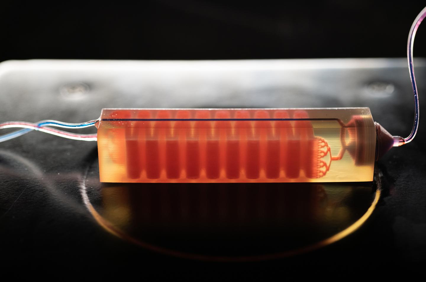 3D Printed Cell Trap