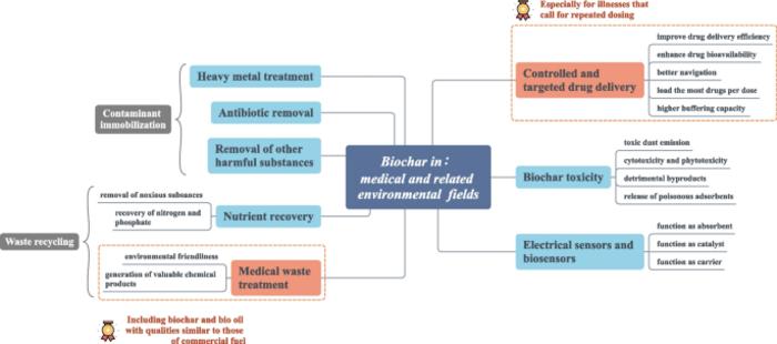 Applications of biochar in medical and related environmental fields: current status and future perspectives