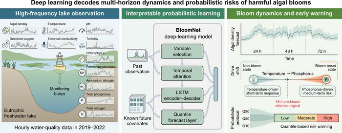 BloomNet enables interpretable early warning of harmful algal blooms.