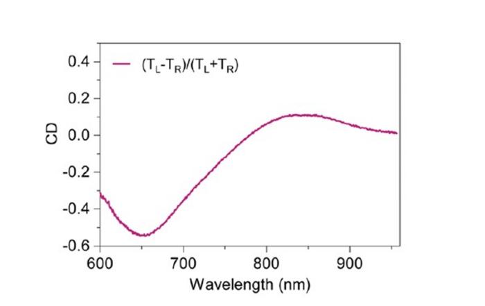 Twist Chirality in a Circularly Symmetric Geometry