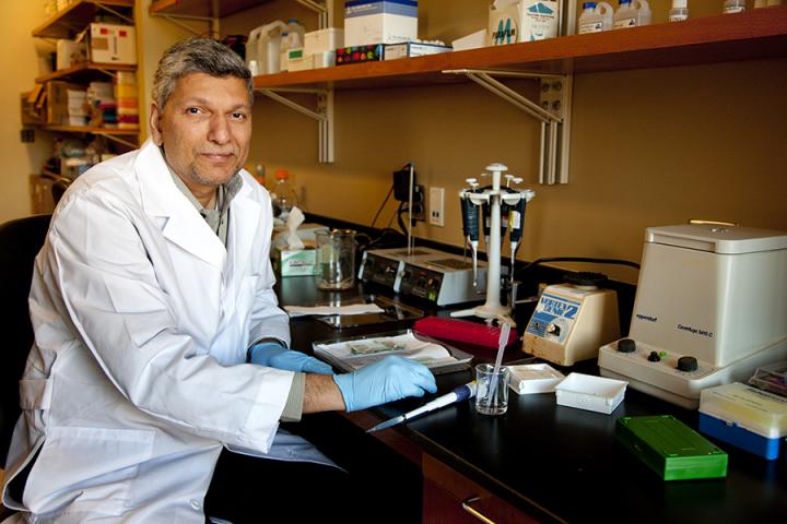 Pradeep Bhide, Florida State University