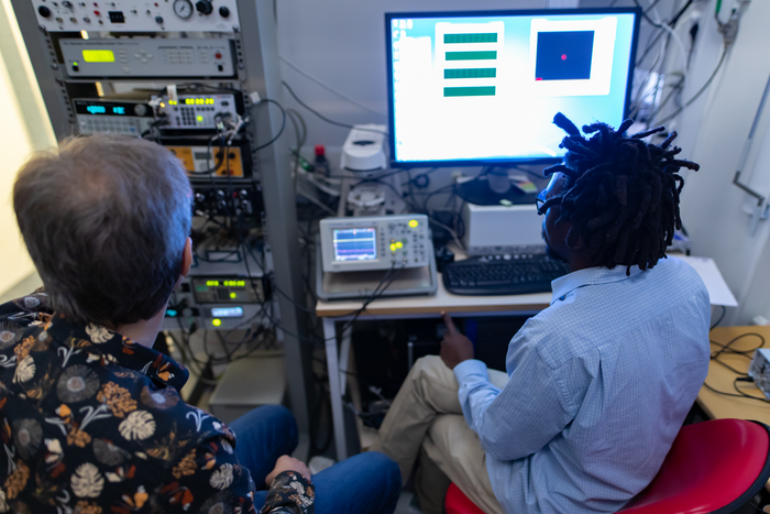 Research on how hearing works, Linköping University