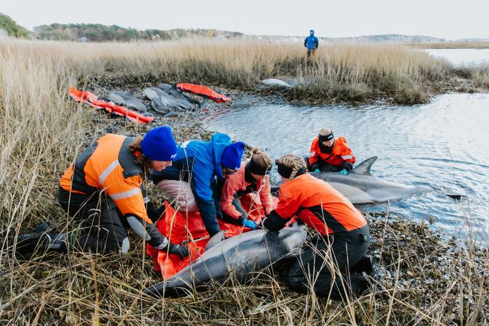 Rescue Crew