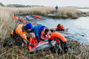 Rescue Crew