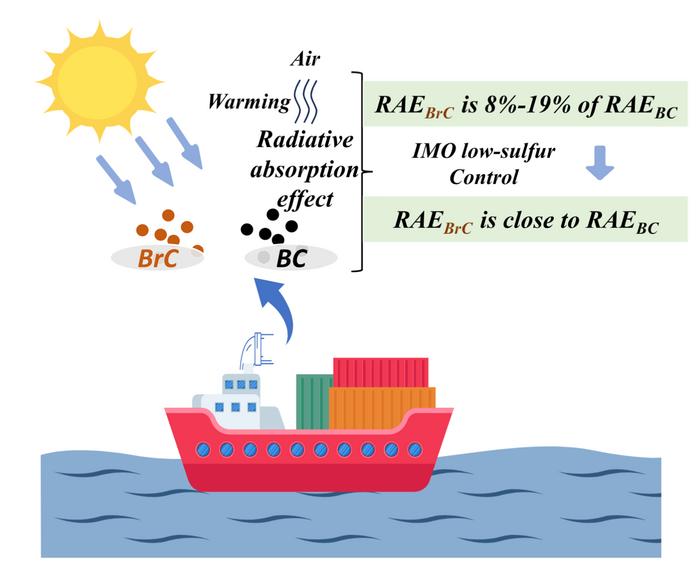 Global distribution and warming effect of brown carbon from shipping emissions