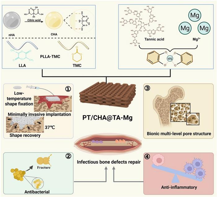 A Shape-Memory, Metal–Polyphenol–Coated Scaffold for Sequential Repair of Infected Bone Defects.