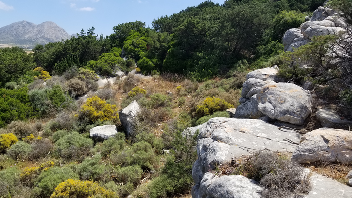 Marble Quarry