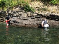 Searching for Rocks