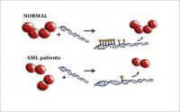 Four-Protein Complex Called DNMT3A Shown in its Normal  Configuration 
