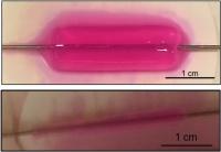 Collagen Encasing
