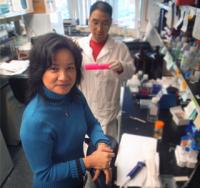 Dr. Wen-Cheng Xiong