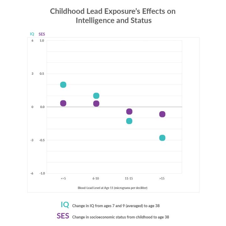 Lead Exposure