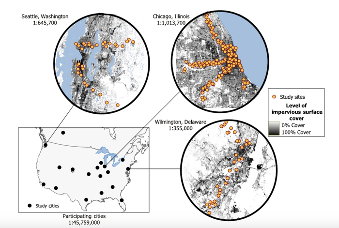 Locations of UWIN trail cameras