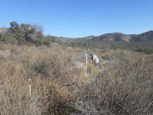 Soil sampling
