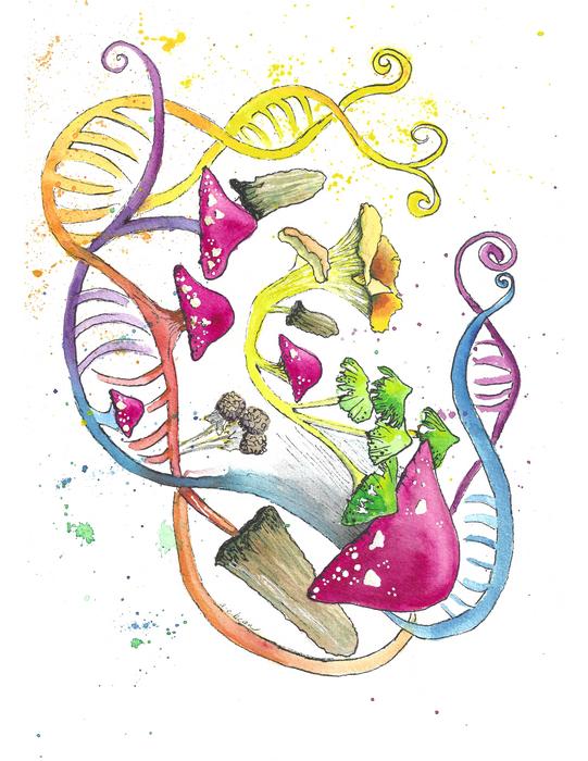 Researchers uncover relationship between gut fungi, human genetic variation and disease risk