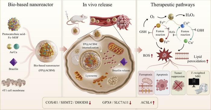 Bio-Based Fe-MOF Nanoreactor Builds a Redox-Cycling Strategy for Breast Cancer Therapy