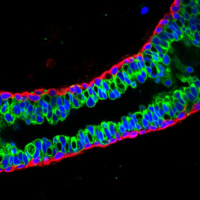 Science Image