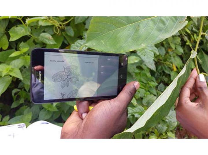 Field Testing of the App (1 of 3)