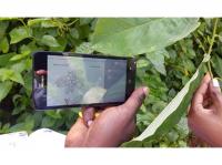 Field Testing of the App (1 of 3)