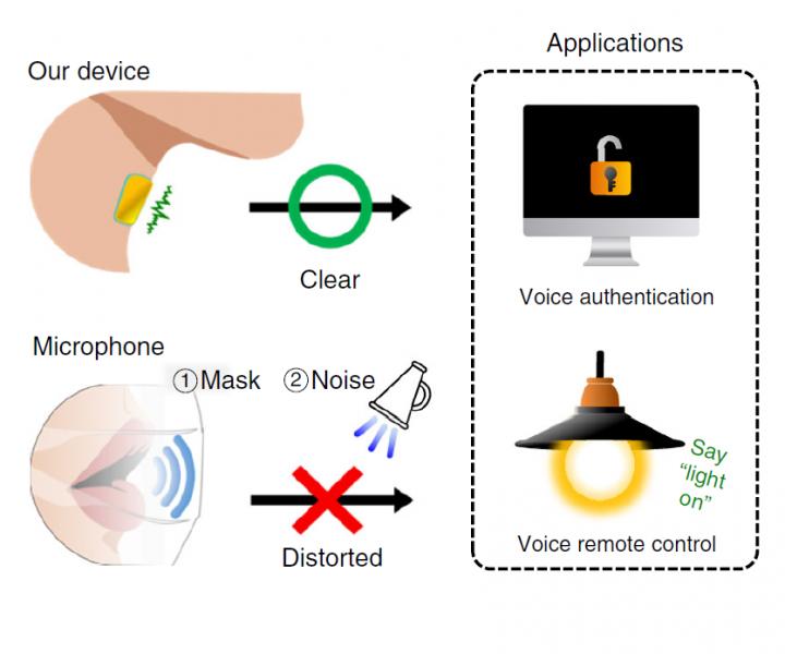 Voice Authentication and Speech Recognition