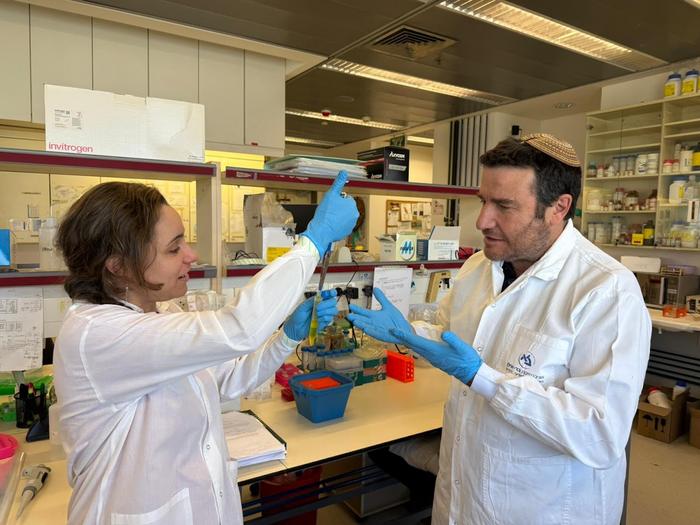 Bar-Ilan University scientists uncover how a key protein helps drive healthy longevity
