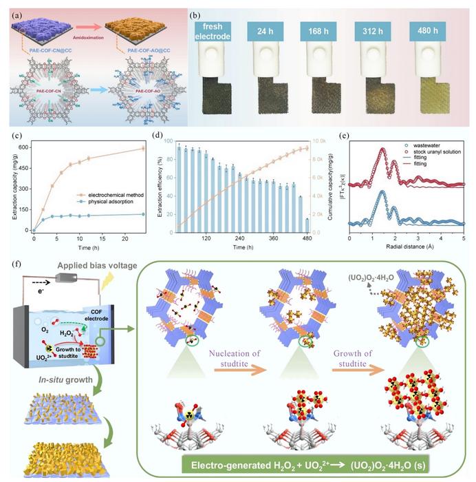 Synergistic parameter optimization in electrochemical upcycling of uranyl: mechanisms and perspectives of self-standing COF electrodes