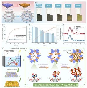 Synergistic parameter optimization in electrochemical upcycling of uranyl: mechanisms and perspectives of self-standing COF electrodes