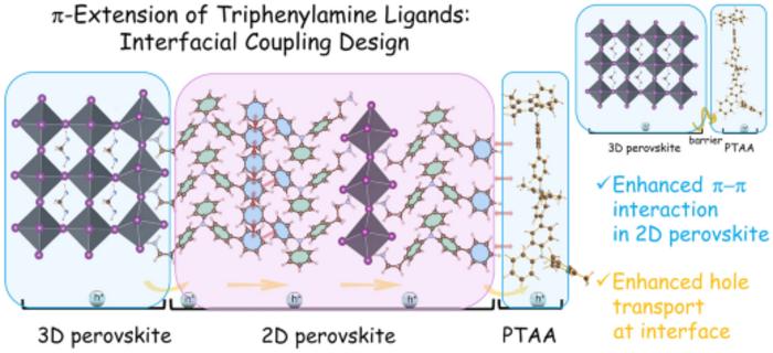 Interfacial Coupling Design Enhancing Hole Transport in PTAA‑Based Perovskite Solar Cells with Efficiency over 26%