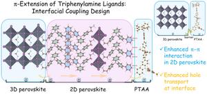 Interfacial Coupling Design Enhancing Hole Transport in PTAA‑Based Perovskite Solar Cells with Efficiency over 26%