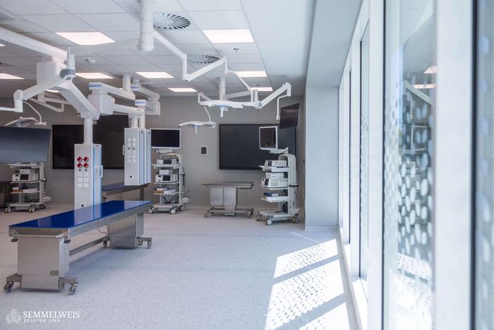 AICER inaugurated at Semmelweis University, Budapest, Hungary