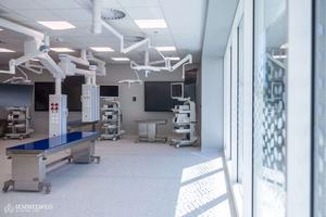 AICER inaugurated at Semmelweis University, Budapest, Hungary