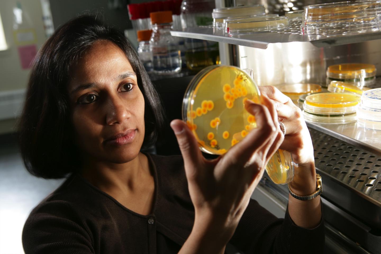 Reeta Rao, Worcester Polytechnic Institute