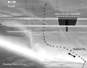Flightpath Overlay Avoidance