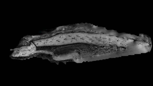 Photos, Maps of Footprints Used to Digitally Reconstruct Dinosaur Chase
