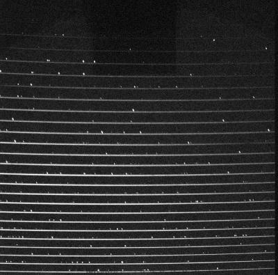 First Light Image from NRES