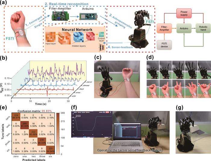 Real-time decoding of gesture actions and tactile perception in the robotic hand.