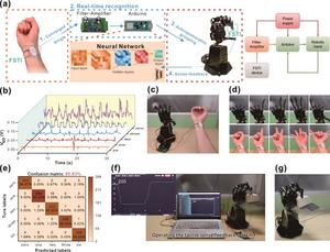 Real-time decoding of gesture actions and tactile perception in the robotic hand.