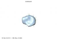 Lateral View of 3D Shape Changes in Forefoot Bones Related to Bipedalism