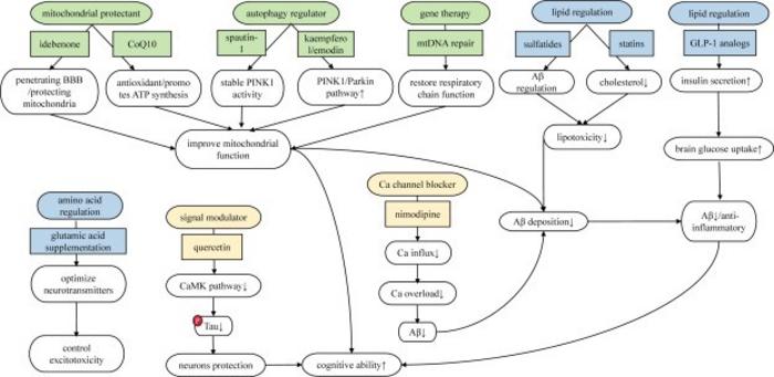 The mitochondrial repair strategy (green) employs protectants like CoQ10 to enhance antioxidant capacity and idebenone to cross the BBB for mitochondrial structural protection.