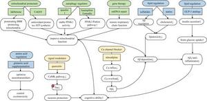 The mitochondrial repair strategy (green) employs protectants like CoQ10 to enhance antioxidant capacity and idebenone to cross the BBB for mitochondrial structural protection.