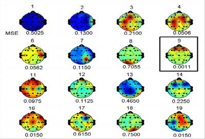 Brain Maps